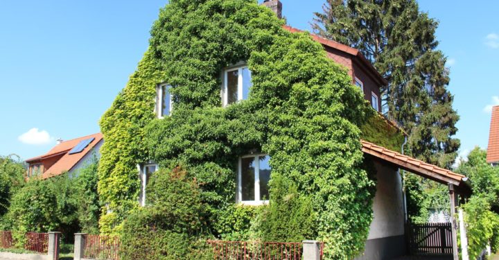 Romantisches Einfamilienhaus im Dornröschenschlaf, 31832 Springe, Einfamilienhaus